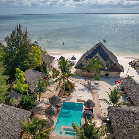 Horizon Of Michamvi Beach Zanzibár Kültér fotó