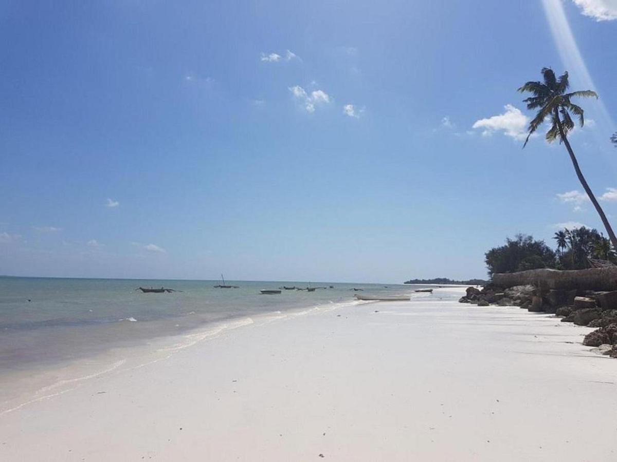 Horizon Of Michamvi Beach Zanzibár Kültér fotó
