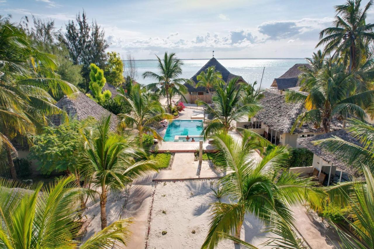 Horizon Of Michamvi Beach Zanzibár Kültér fotó